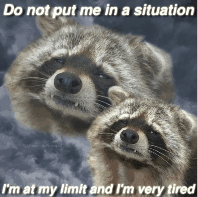Do not put me in a situation @nocturnaltrashposts I'm at my limit and I'm very tired