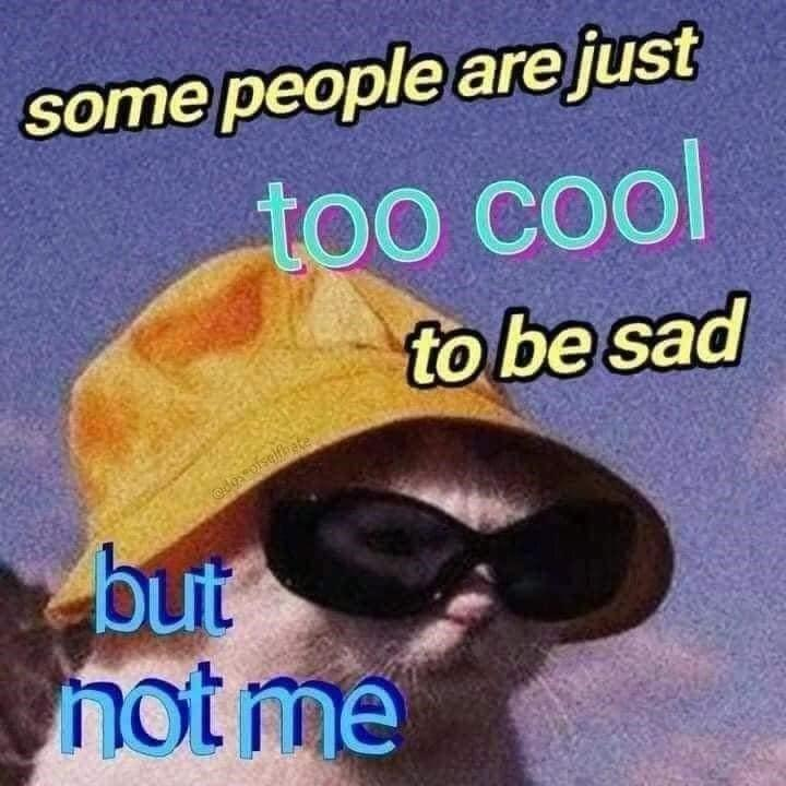 some people are just @dox ofselfbate too cool to be sad but not me
