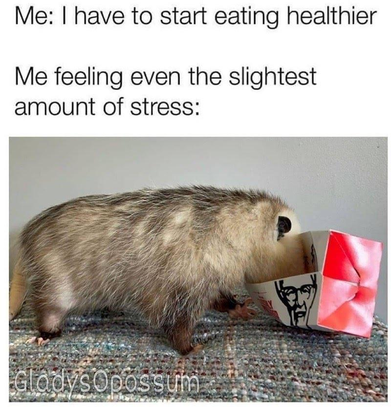 Me: I have to start eating healthier Me feeling even the slightest amount of stress: Gladys Opossum