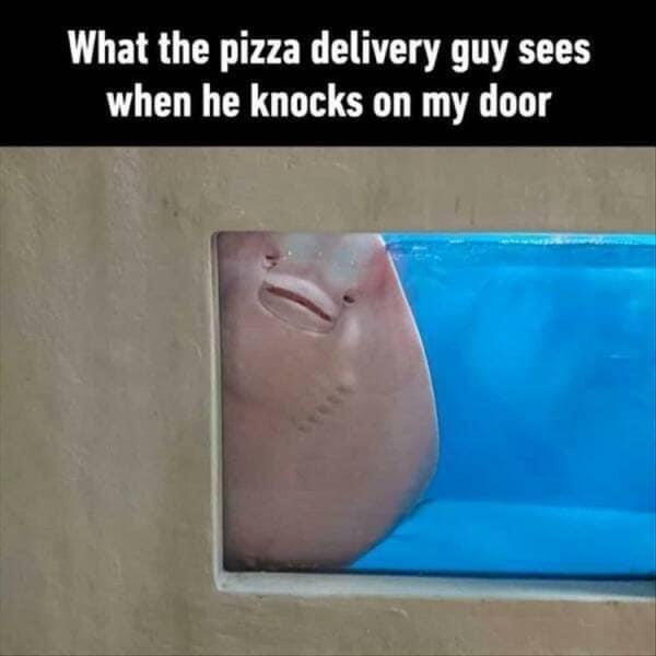 What the pizza delivery guy sees when he knocks on my door