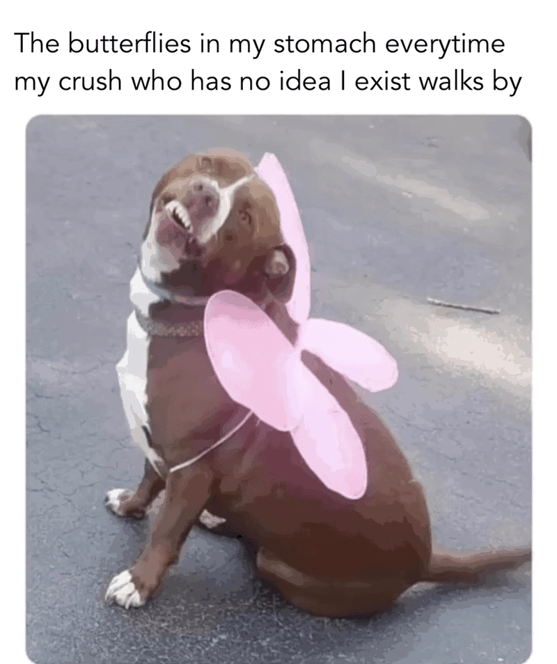 The butterflies in my stomach everytime my crush who has no idea I exist walks by