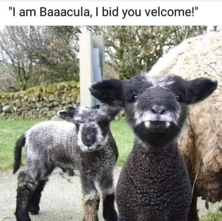"I am Baaacula, I bid you velcome!"