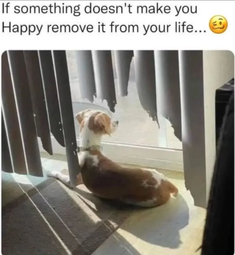 If something doesn't make you Happy remove it from your life...