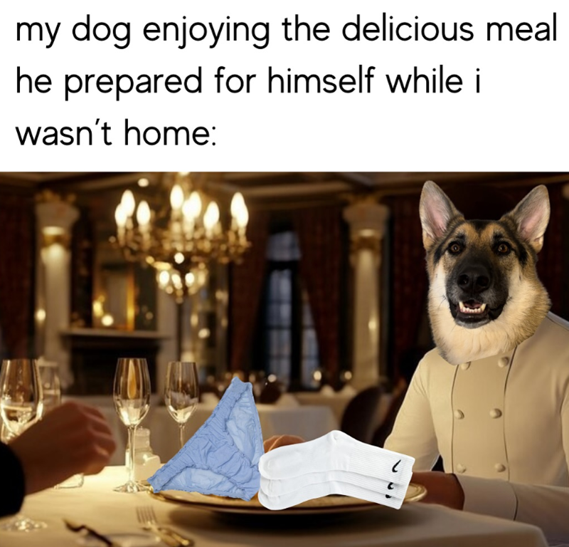 my dog enjoying the delicious meal he prepared for himself while i wasn't home: