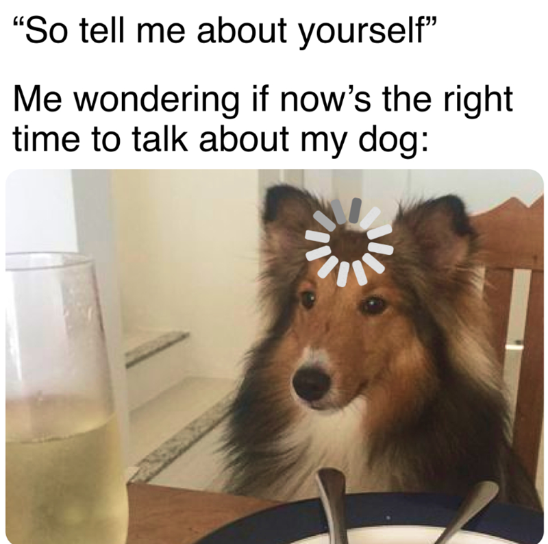 "So tell me about yourself" Me wondering if now's the right time to talk about my dog: