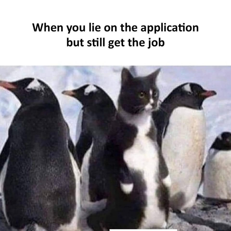 When you lie on the application but still get the job