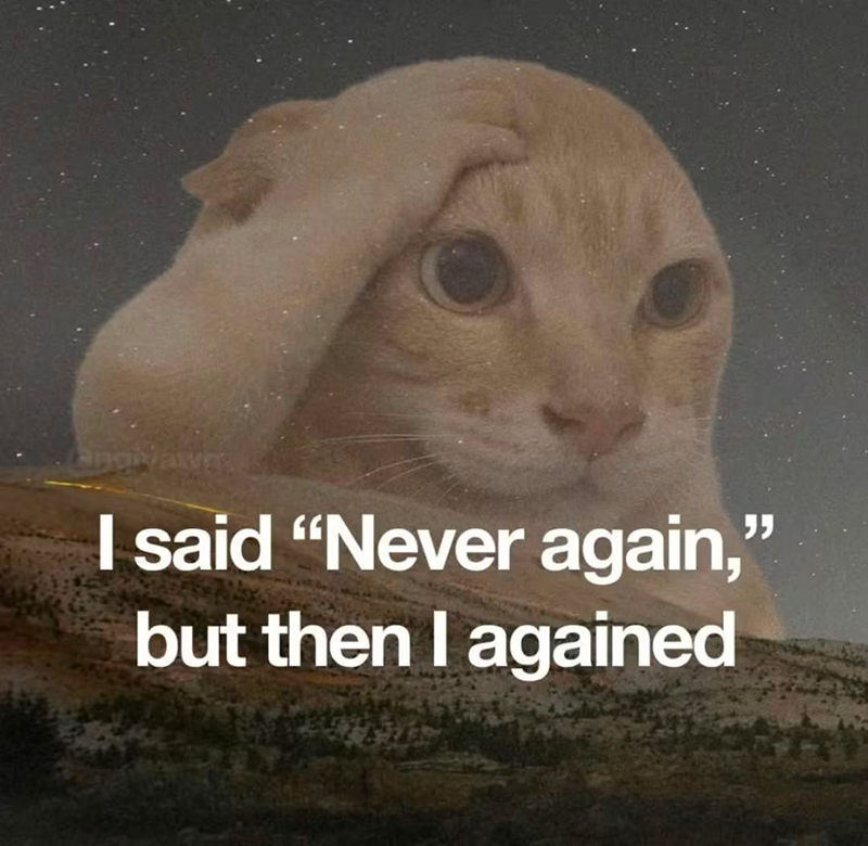 I said "Never again," but then I agained