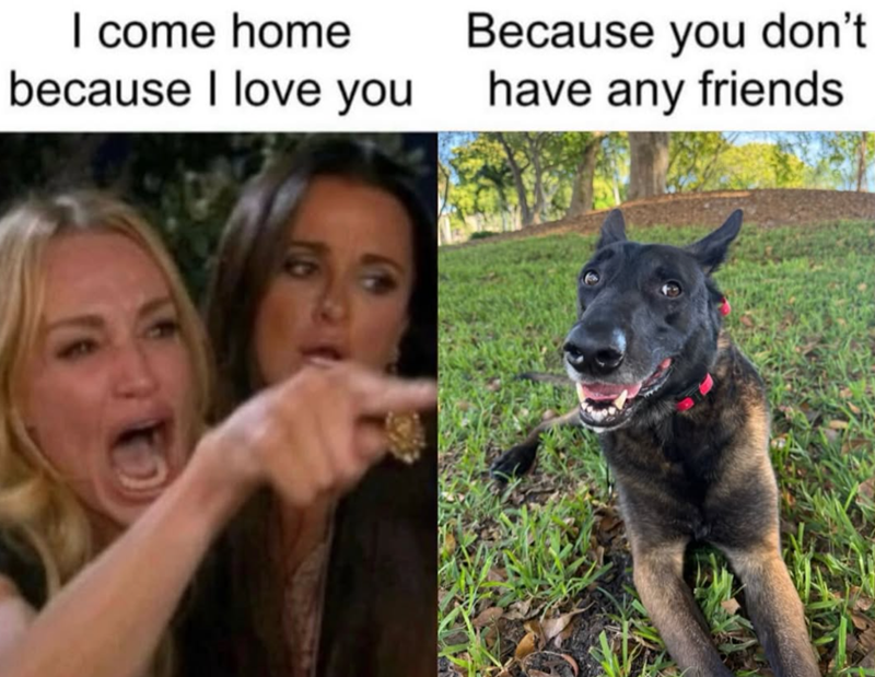 I come home because I love you Because you don't have any friends