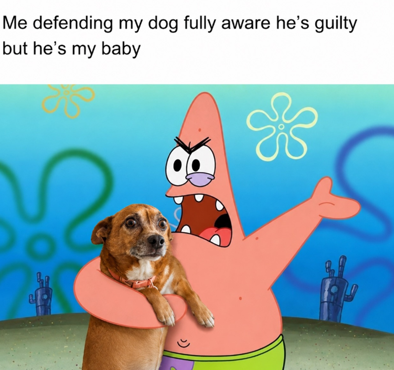 Me defending my dog fully aware he's guilty but he's my baby