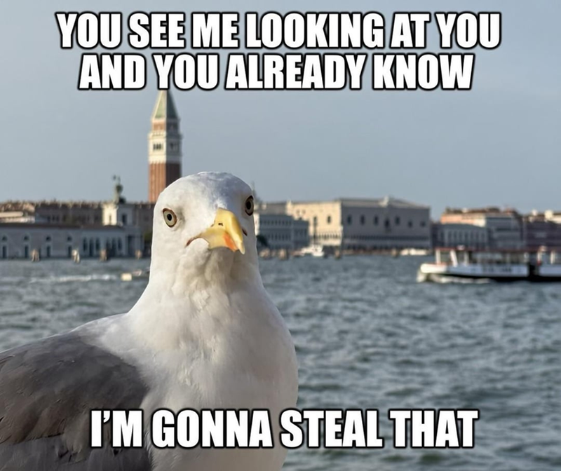YOU SEE ME LOOKING AT YOU AND YOU ALREADY KNOW I'M GONNA STEAL THAT