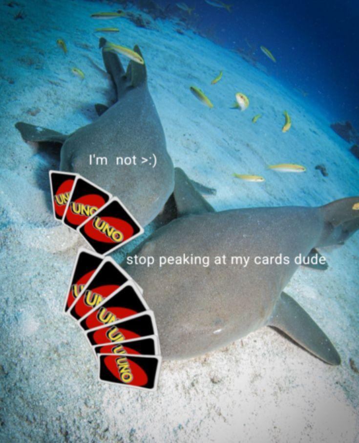 UN I'm not >:) UNUNO stop peaking at my cards dude JUUUUNO