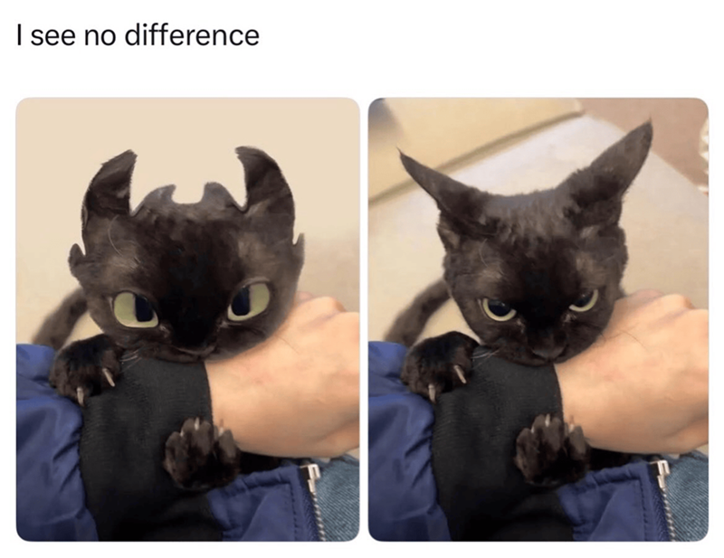 I see no difference