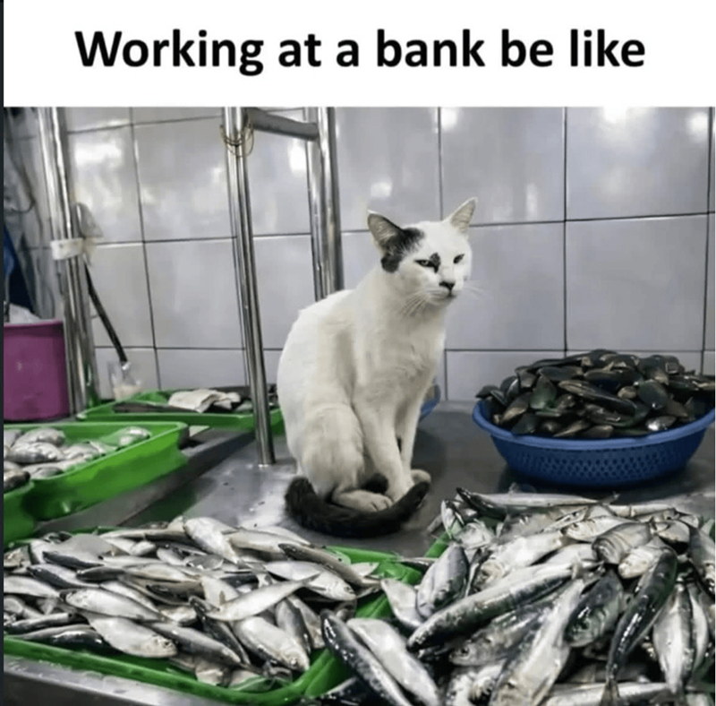 Working at a bank be like