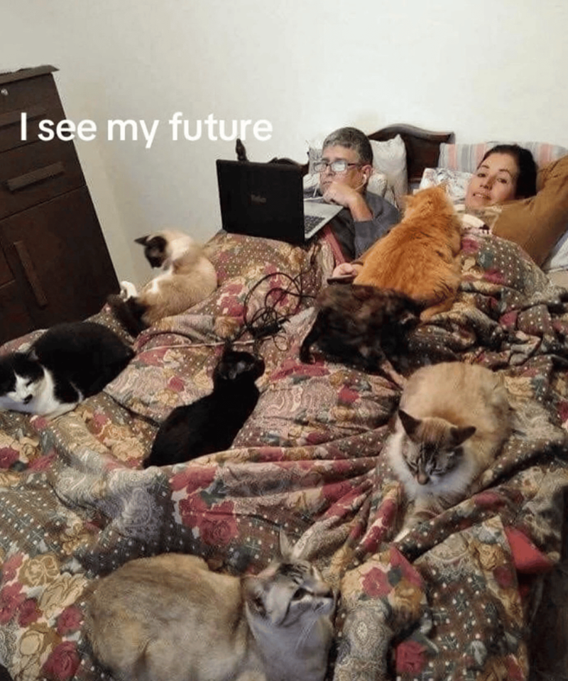 I see my future