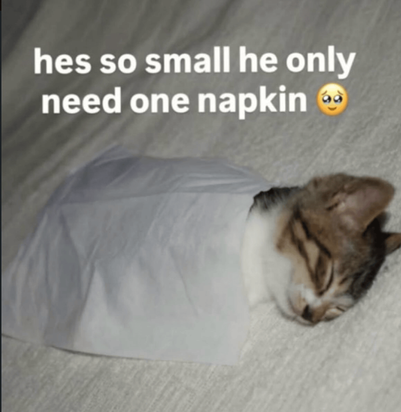 hes so small he only need one napkin