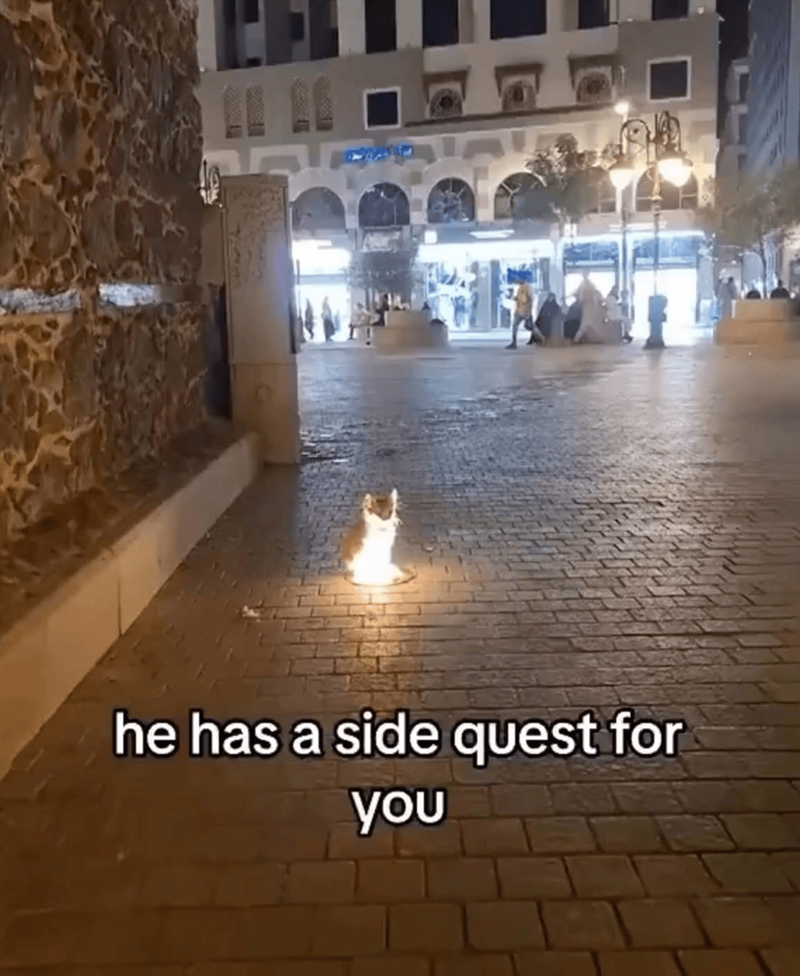 he has a side quest for you