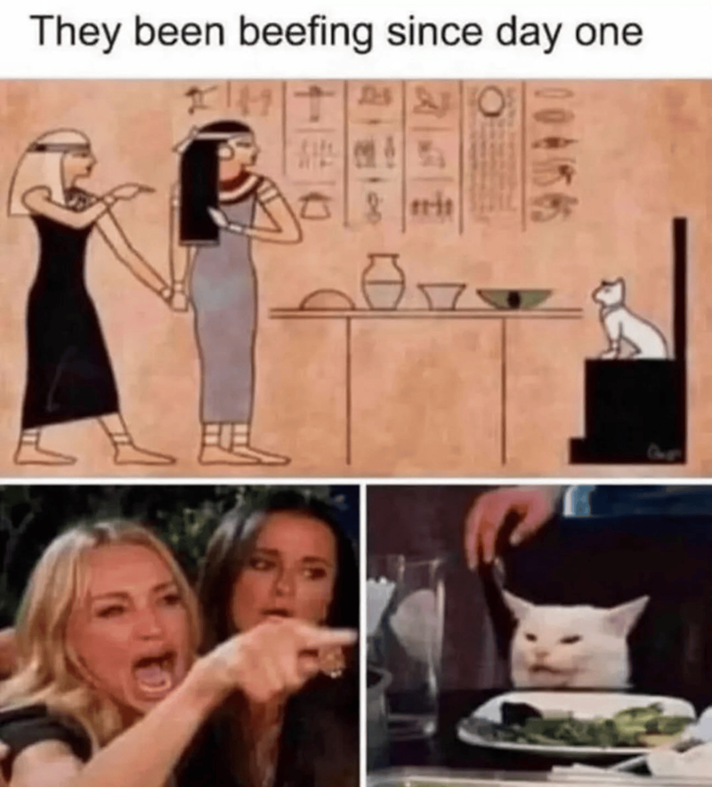 They been beefing since day one д as