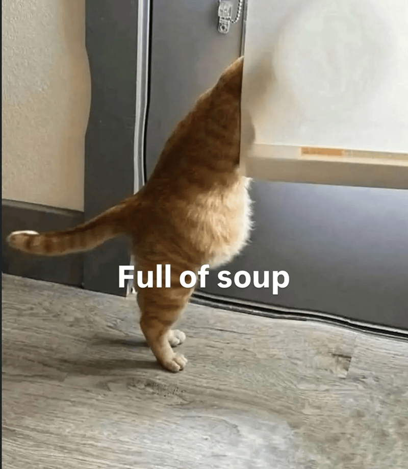 Full of soup