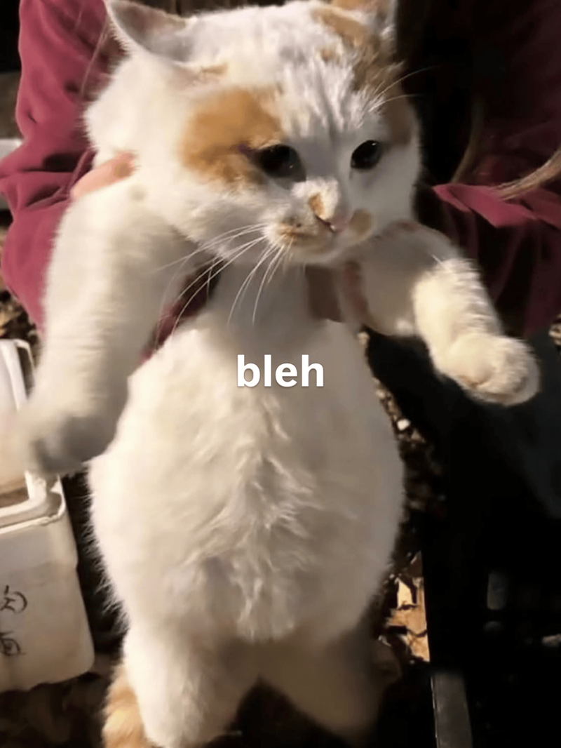 K E bleh