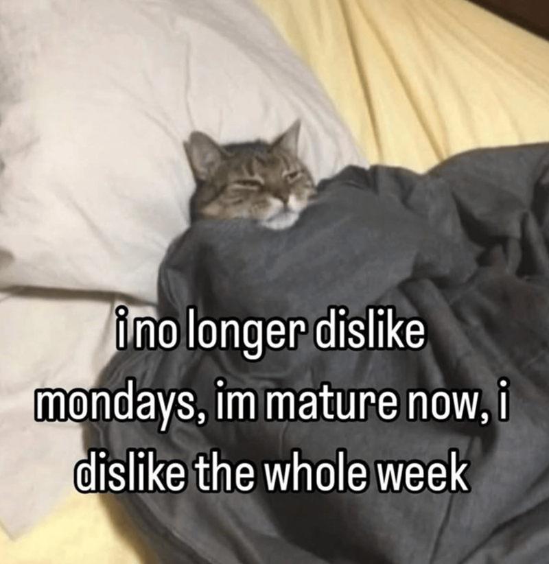 ino longer dislike mondays, im mature now, i dislike the whole week