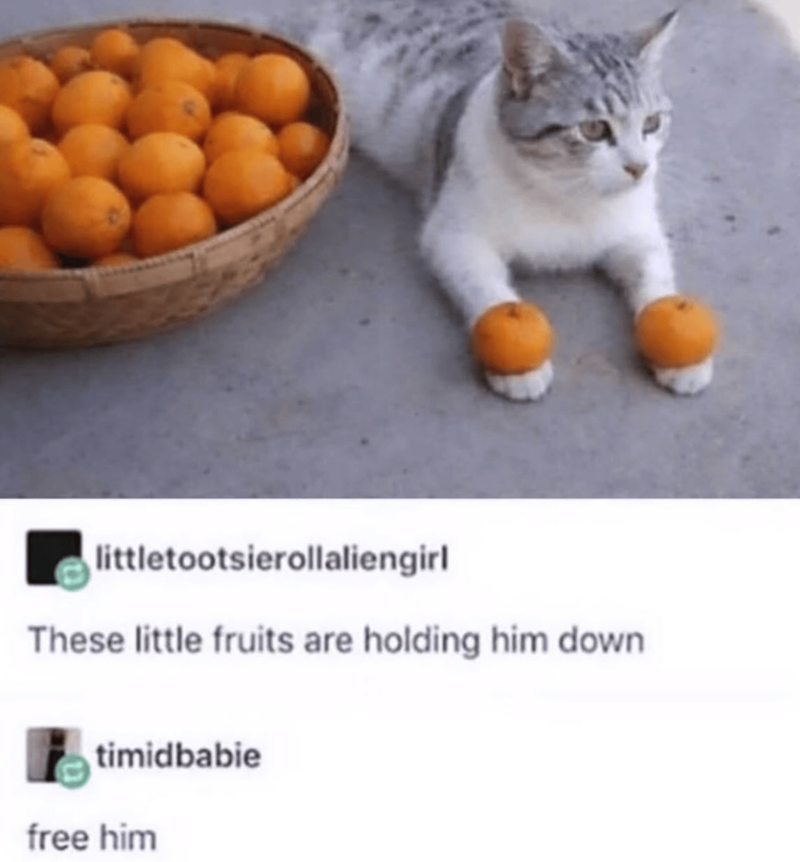 littletootsierollaliengirl These little fruits are holding him down timidbabie free him