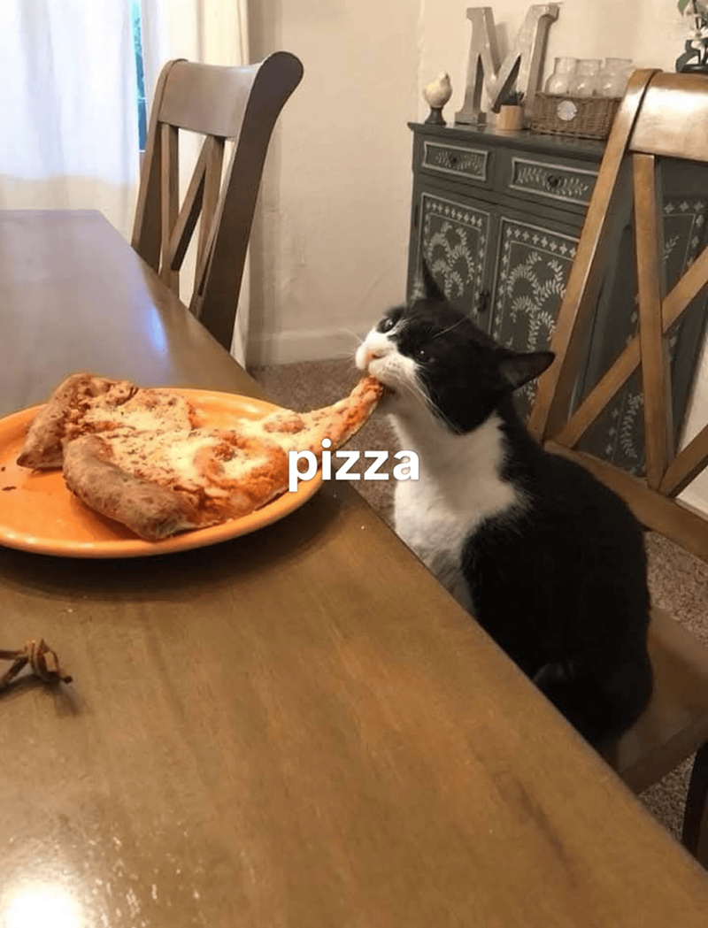 pizza M
