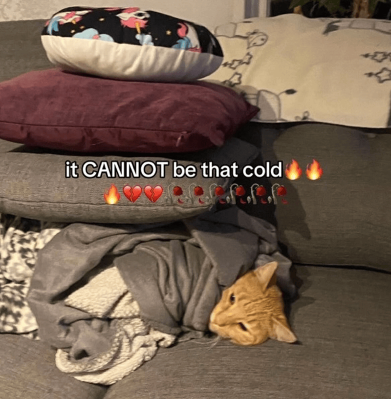 3 it CANNOT be that cold