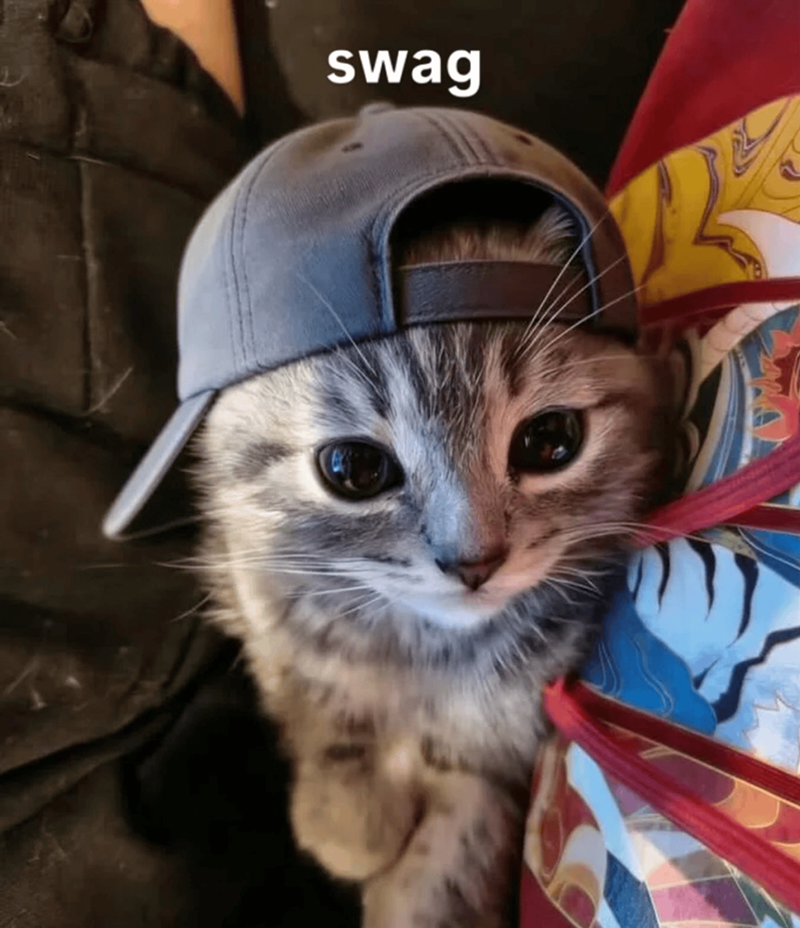 swag