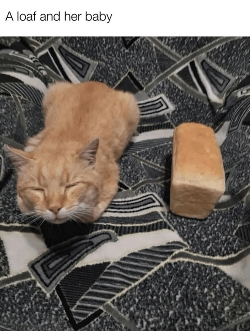 A loaf and her baby