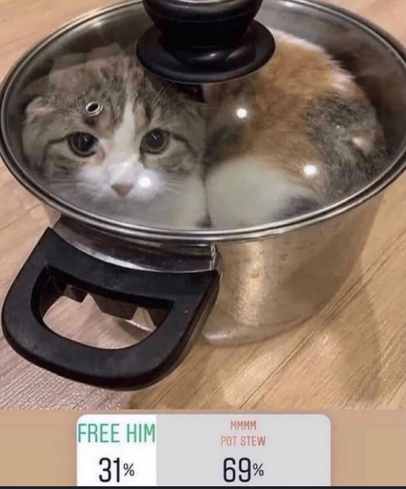 FREE HIM 31% MMMM POT STEW 69%
