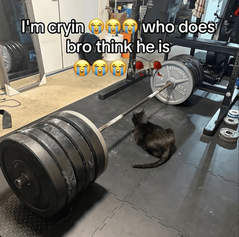 SURREY I'm cryin who does bro think he is STANDARD Les. 20.4 KILOS sauve 00