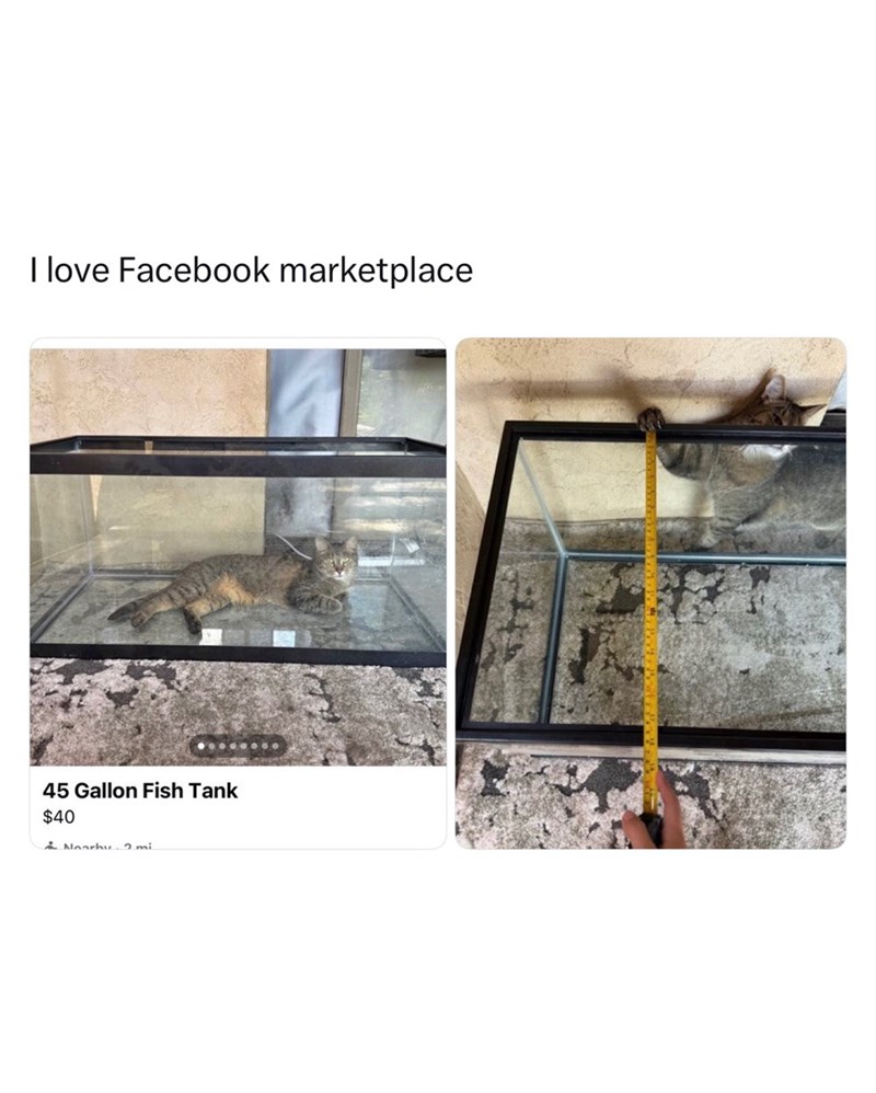 I love Facebook marketplace 45 Gallon Fish Tank $40 Nearby. 2 mi