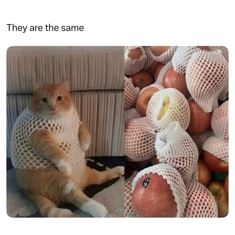 They are the same