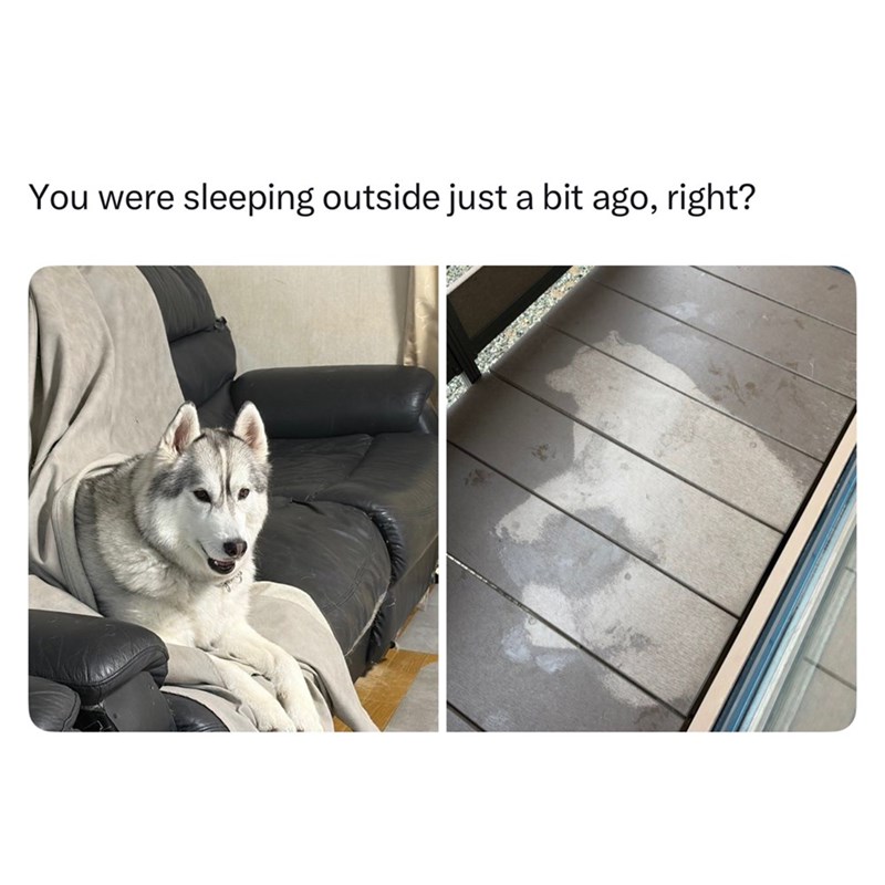You were sleeping outside just a bit ago, right?