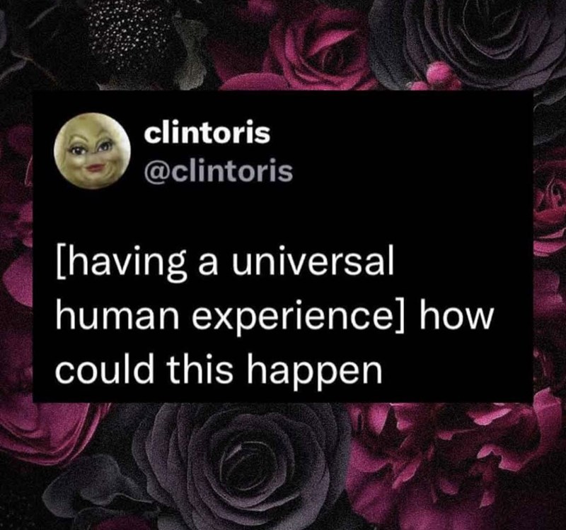 clintoris @clintoris [having a universal human experience] how could this happen