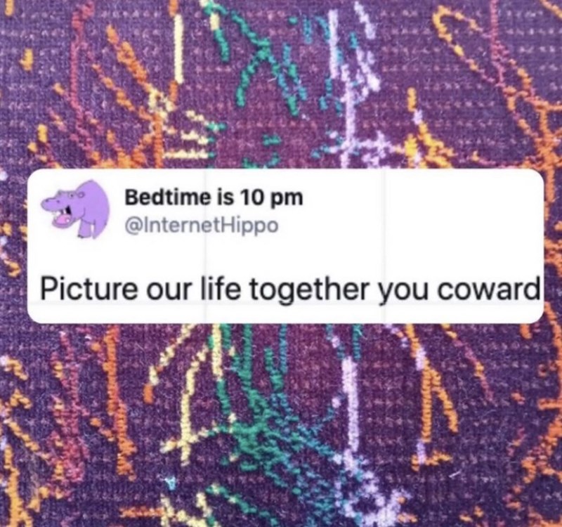 Bedtime is 10 pm @InternetHippo Picture our life together you coward