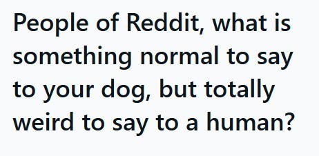 People of Reddit, what is something normal to say to your dog, but totally weird to say to a human?
