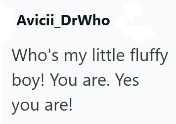 Avicii_DrWho Who's my little fluffy boy! You are. Yes you are!