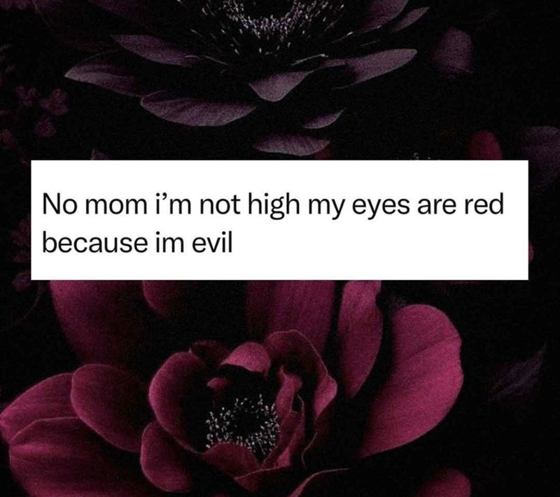 No mom i'm not high my eyes are red because im evil