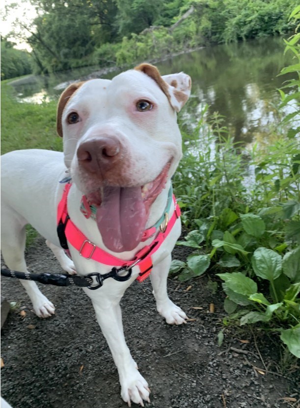 Cheezburger Image 10657615872