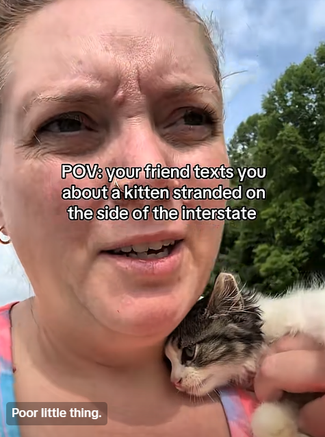 POV: your friend texts you about a kitten stranded on the side of the interstate Poor little thing.