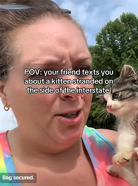POV: your friend texts you about a kitten stranded on the side of the interstate Bag secured.