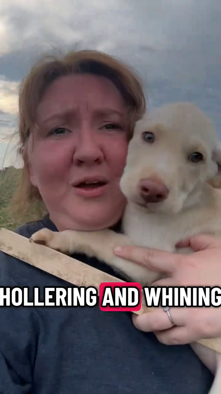 HOLLERING AND WHINING