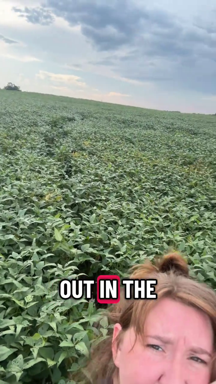 OUT IN THE