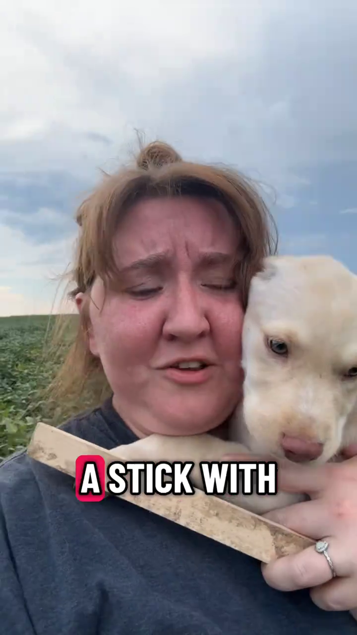 A STICK WITH
