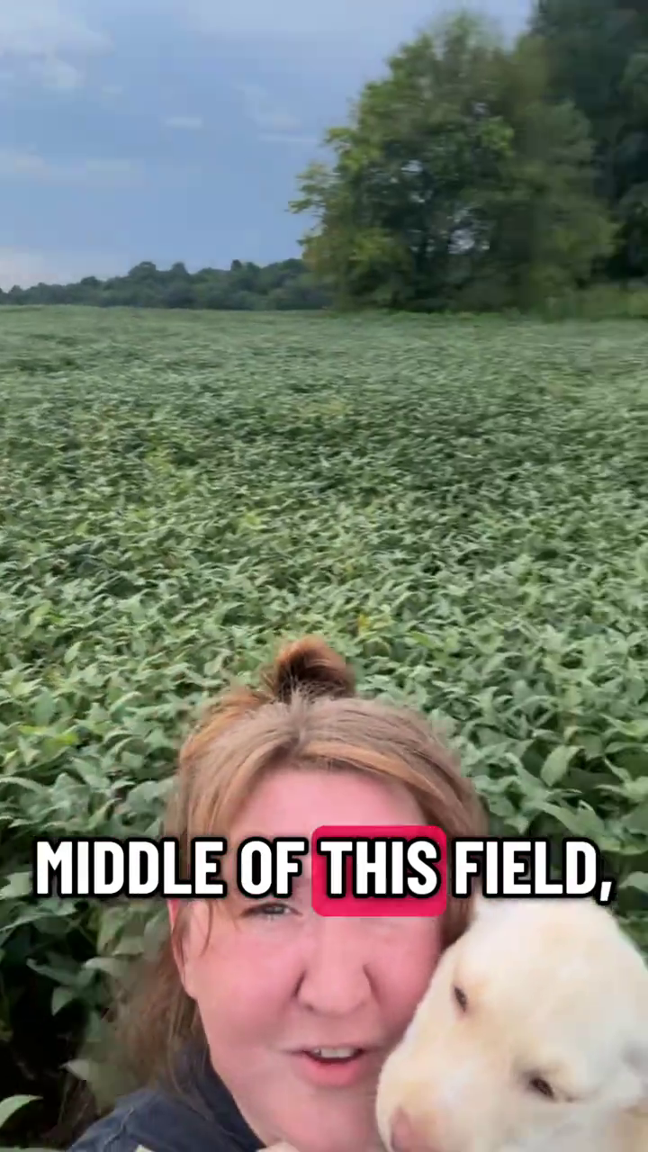 MIDDLE OF THIS FIELD,