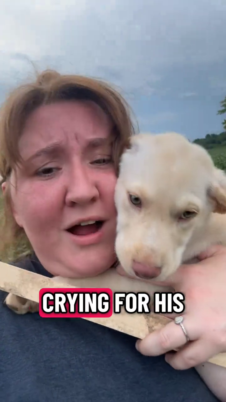 CRYING FOR HIS