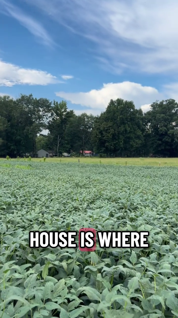 HOUSE IS WHERE