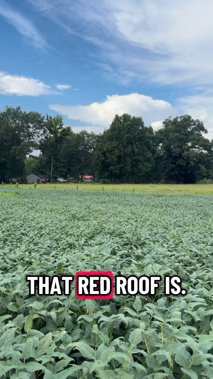 THAT RED ROOF IS.