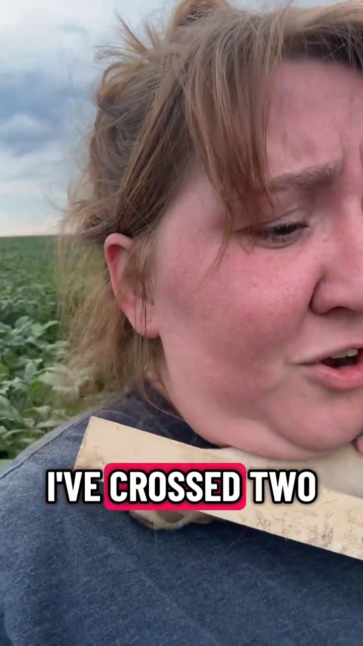 I'VE CROSSED TWO